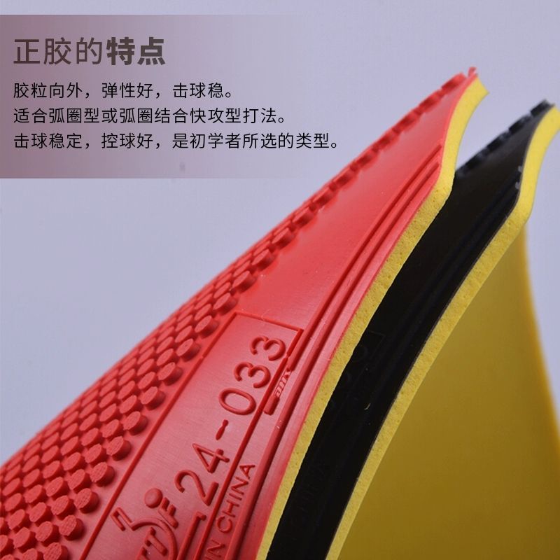 Original DHS Dragon Shadow Tab - Table Tennis Zhang Jike recension och pris